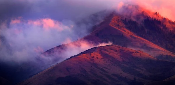 Montanhas Árvores Florestais Deserto Com Nuvens Luz Pôr Sol — Fotografia de Stock