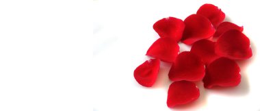 Gül yaprakları beyaz arka planda yumuşak bir hediye olarak