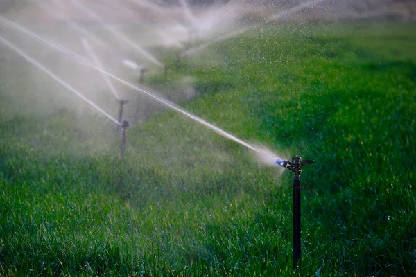 在田里种植洒水器 灌溉和浇灌庄稼 — 图库照片