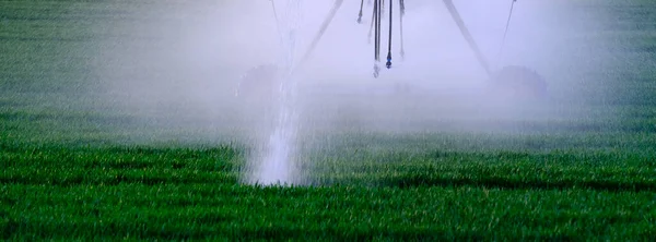 灌漑や作物の散水のためのフィールドでの農業スプリンクラーの水路ピボットライン — ストック写真