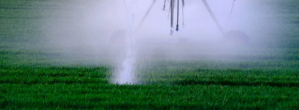 Aspersores Agricultura Líneas Flotación Campo Para Riego Riego Cultivos Pivote — Foto de Stock