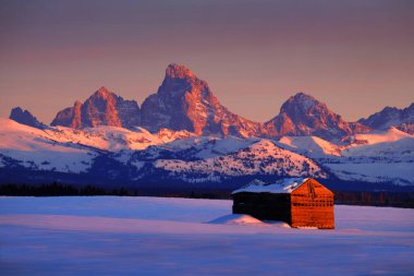 Teton Dağları, kışın Sunset Light Grand Tetons ve tarlada eski bir kulübe.