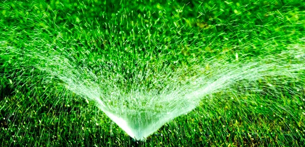 Sprinkler Gras Eines Hofes Versprüht Wassertropfen Zur Bewässerung — Stockfoto