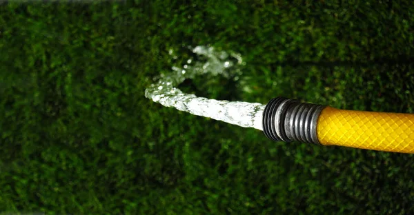 Manguera Jardín Amarillo Rociando Agua Sobre Hierba Verde Exuberante —  Fotos de Stock