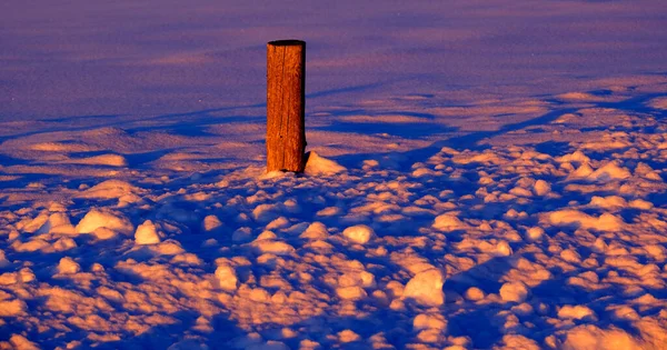 Alter Holzzaun Setzt Zaunpfähle Winterschnee Bei Sonnenuntergang Kalten Strömungen — Stockfoto