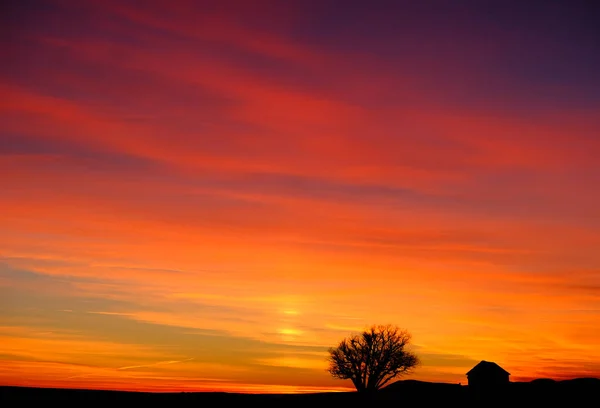 Altes Wohnhaus Und Baumsilhouette Bei Sonnenuntergang Winter — Stockfoto