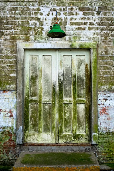 Szczegóły Starych Drzwi Malowane Białą Farbą Obieranie Rozdrobnione Mech — Zdjęcie stockowe