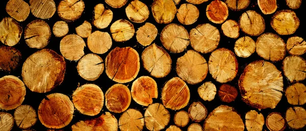 Detail Van Stapel Hout Voor Brandhout Ruwe Textuur Hout Gesneden — Stockfoto