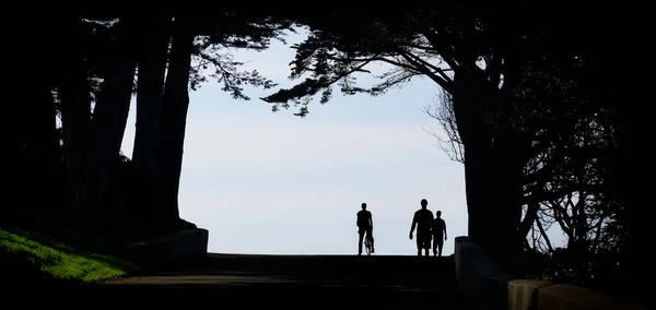 Sylwetka Ludzi Spacerujących Stojących Pod Drzewami Gałęzie Niebem — Zdjęcie stockowe