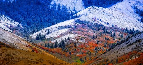 Berglandschaft Spätherbst Mit Herbstlichen Baumfarben Und Erstem Schnee — Stockfoto