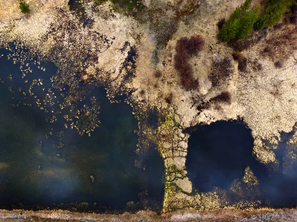 一架无人驾驶飞机在池塘和沼泽地上空盘旋时的空中景观 — 图库照片