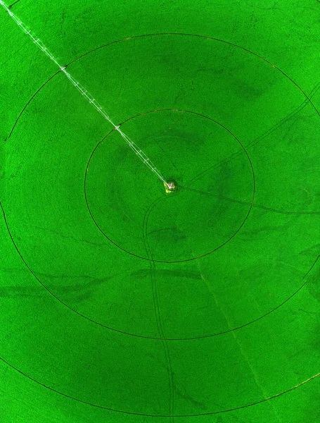Vista Aerea Drone Che Vola Sopra Campo Fattoria Verde Crescita — Foto Stock
