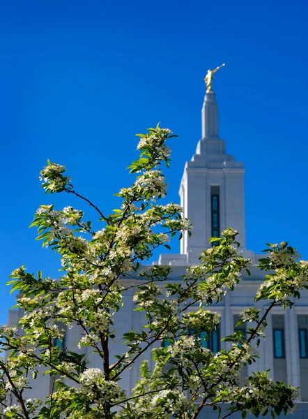 Pocatello Idaho Lds Tapınağı Nın Mormon Kilisesi Kutsal Din Binası — Stok fotoğraf