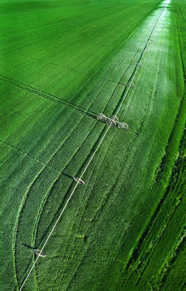 Αεροφωτογραφία Από Επανδρωμένο Αεροσκάφος Που Πετά Πάνω Από Ένα Πράσινο — Φωτογραφία Αρχείου