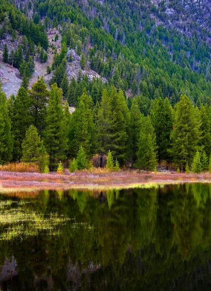 Mountain Lake Pond Reflection Lush Green Pine Forest Trees Wilderness — Stock Photo, Image