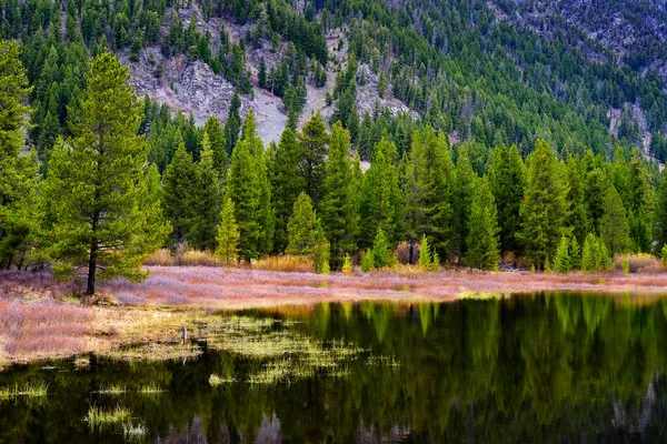 Mountain Lake Pond Reflection Lush Green Pine Forest Trees Wilderness — Stock Photo, Image