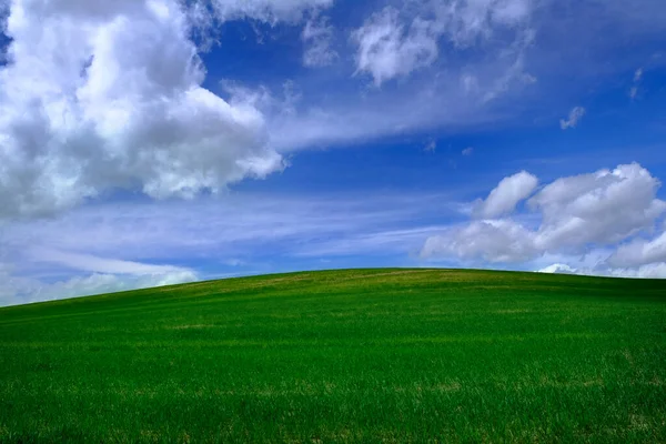 Πράσινο Αγρόκτημα Τομέα Των Καλλιεργειών Γαλάζιο Ουρανό Και Σύννεφα — Φωτογραφία Αρχείου