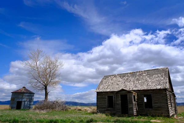 Starý Dům Domov Usedlost Farmě Silo Strom Modrá Obloha Mraky — Stock fotografie