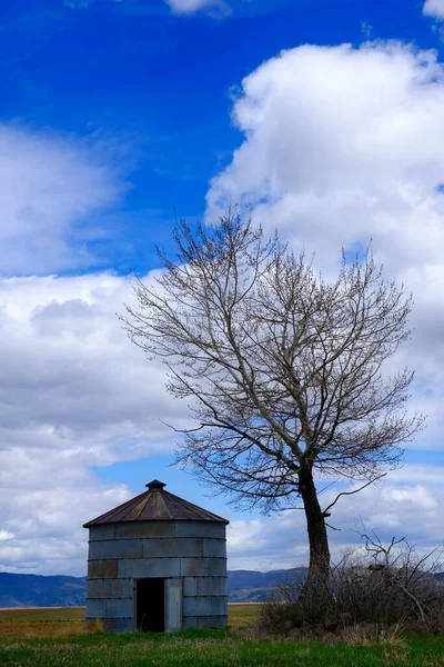 Staré Obilné Silo Obilí Strom Zemědělské Půdě Modrou Oblohou Mraky — Stock fotografie