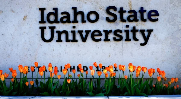 Idaho State University Teken Met Bloemen Een Tuin Voor Onderwijs — Stockfoto