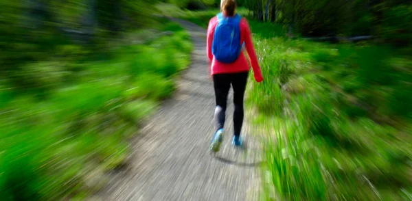 Woman Hiking Mountains Wilderness Exploring Exercising — Stock Photo, Image