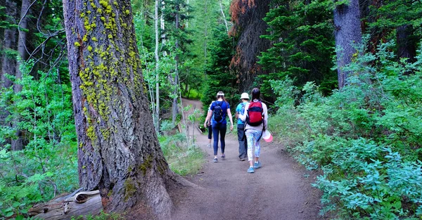 Grupp Flickor Familj Vandring Stig Skogen Utforska — Stockfoto