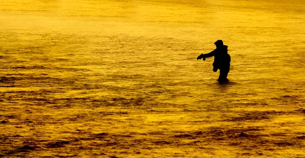 Σιλουέτα Της Αλιείας Flyfishing Κύλινδρο Ράβδο Στο Ποτάμι Χρυσό Φως — Φωτογραφία Αρχείου