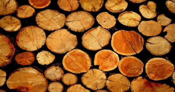 Detail Van Stapel Hout Voor Brandhout Ruwe Textuur Hout Gesneden — Stockfoto