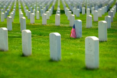 Military cemetery in the United States with headstones for soldiers white marble rows clipart