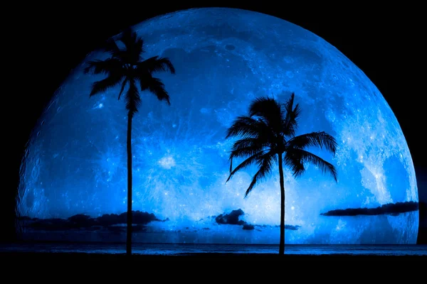 Palmy Západ Slunce Poblíž Oceánu Pláž Tropické Umístění Modrý Měsíc — Stock fotografie