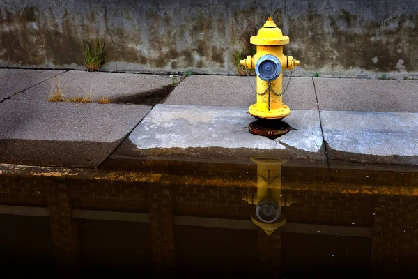Hidrante Fogo Amarelo Por Edifício Urbano Refletido Poça Água Calha — Fotografia de Stock