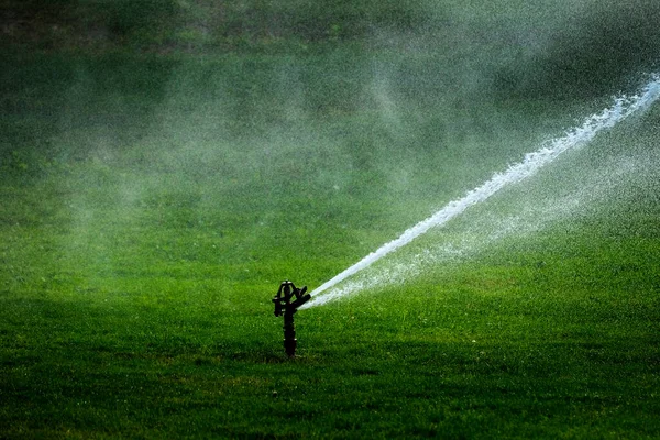 Sprinkler Park Spraying Water Watering Lush Green Grass — 图库照片