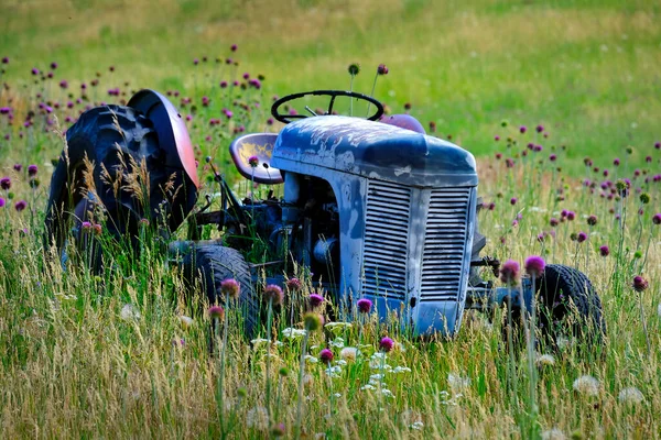 Alter Roter Traktor Auf Feld Mit Blumen Als Antike Alte — Stockfoto