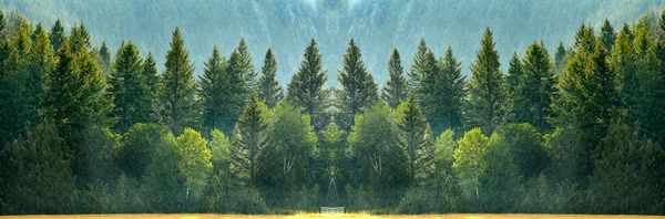 Forest Rain Storm Drops Falling Lush Green Trees Panorama — Φωτογραφία Αρχείου