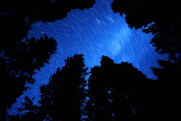 Stars Night Sky Milky Way Milkyway Silhouette Pine Trees Silhouetted — Zdjęcie stockowe