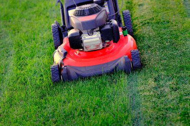 Red lawn mower in lush green grass mowing lawn cutting