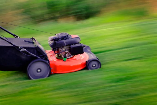 Red Lawn Mower Lush Green Grass Mowing Lawn Cutting — Stock fotografie