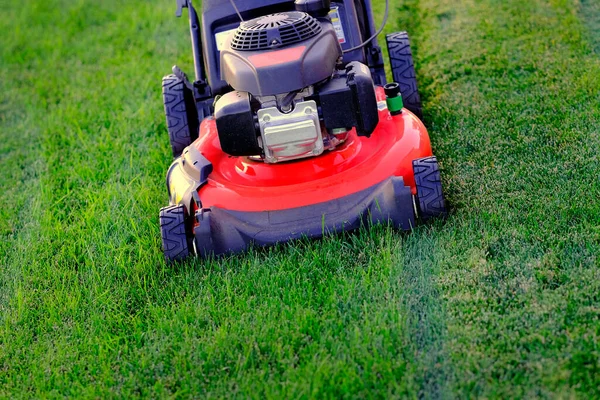 Red Lawn Mower Lush Green Grass Mowing Lawn Cutting — Stock fotografie