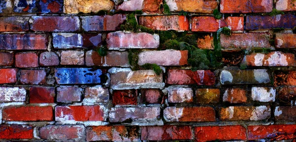 Colorful Old Bricks Wall Falling Apart Texture Textured Moss Growing — 스톡 사진