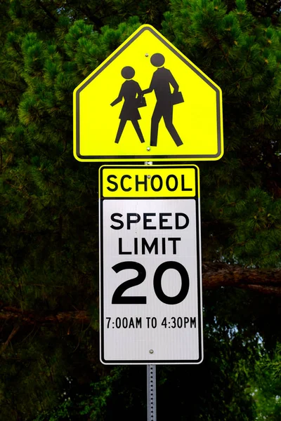 School Crosswalk Sign Warning Slow Neighborhood Street Children Safety — ストック写真