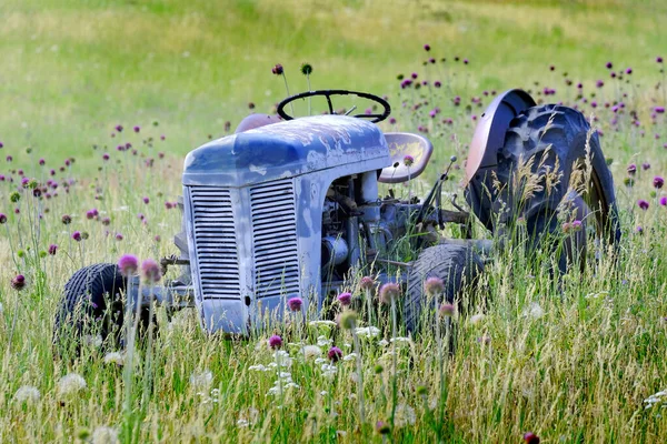 Old Red Tractor Field Flowers Abandoned Antique Vintage Farm Machine — Stockfoto