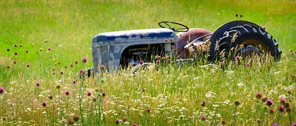 Old Red Tractor Field Flowers Abandoned Antique Vintage Farm Machine — Photo