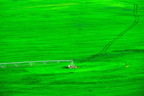 Bewässerung Schwenk Oder Kreis Bewässerung Bewässerung Grünen Saftigen Bauernhof Feld — Stockfoto