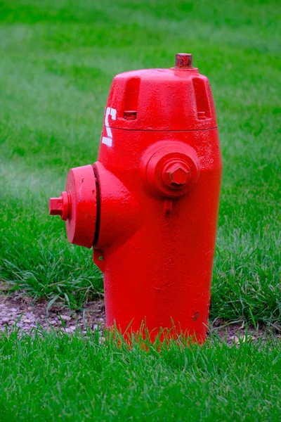 Detail Red Fire Hydrant Green Grass Lawn Neighborhood Public Safety — Stock Photo, Image