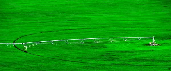 Irrigazione Perno Cerchio Irrigazione Irrigazione Verde Rigoglioso Campo Agricolo Con — Foto Stock