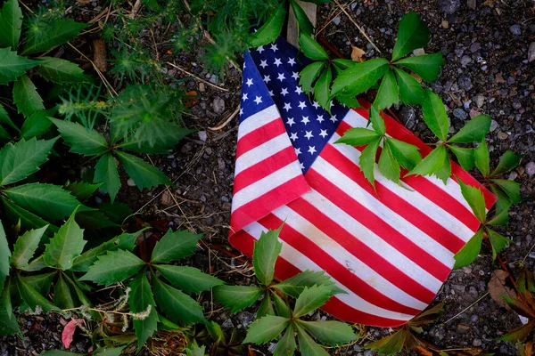 Bandera Americana Desechada Malas Hierbas Abandonado Falta Respeto —  Fotos de Stock