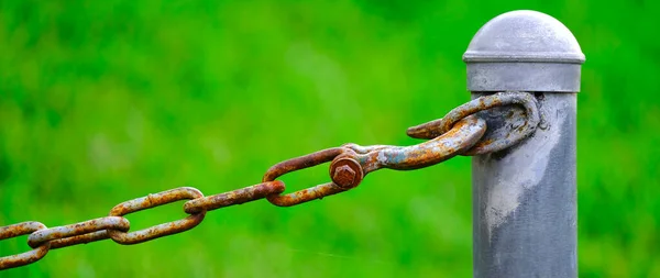 Detalle Cadena Conectada Poste Para Seguridad Protección Fondo Verde — Foto de Stock