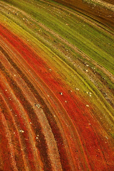 Nature Colorée Textures Couleurs Naturelles Sur Rivage Lac Rouge Vert — Photo