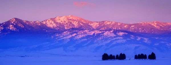 Sunrise Light Mountains Snowy Winter Valley Trees — стоковое фото