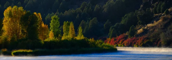 Fall Höst Färgade Träd Med Flod Eller Sjö Vatten Och — Stockfoto